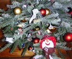 sapin 2005.jpg